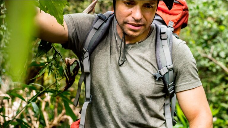 Plantas que absorben el calor: Refresca tu hogar con estas opciones naturales