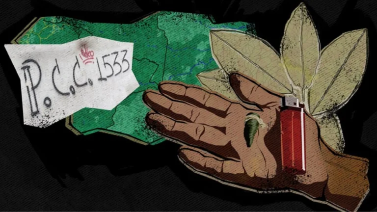 Los narcos más pobres en la cadena del narcotráfico