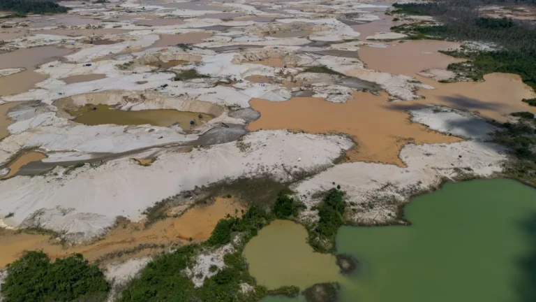 Un mapeo de la criminalidad en la Amazonía